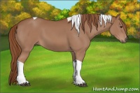 Horse Color:Chestnut Tobiano 
