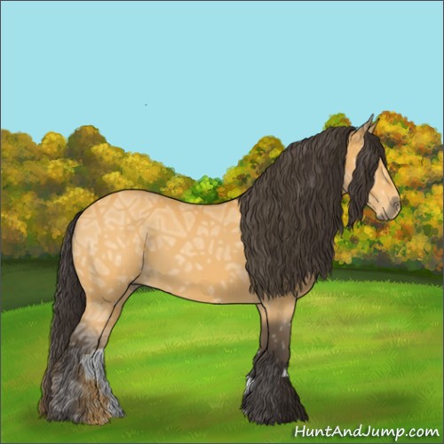 Horse Color:Buckskin Ice 