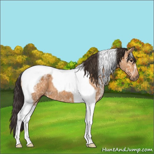 Horse Color:Buckskin Ice Tobiano 