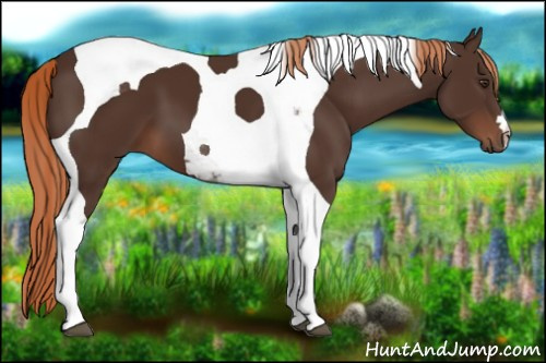 Horse Color:Liver Chestnut Tobiano 