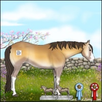 Horse Color:Buckskin Onyx 