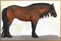 Horse Color:Black and Brown