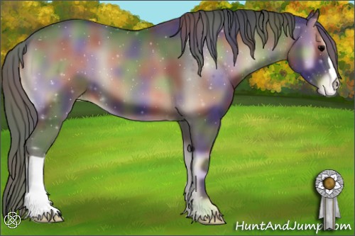 Horse Color:Nacre Blue Onyx Appaloosa