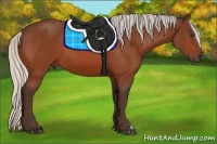 Horse Color:Silver Bay