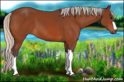 Horse Color:Silver Bay 
