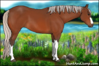 Horse Color:Silver Bay 