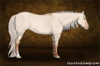 Horse Color:Silver Classic Champagne Roan Dun Sabino 