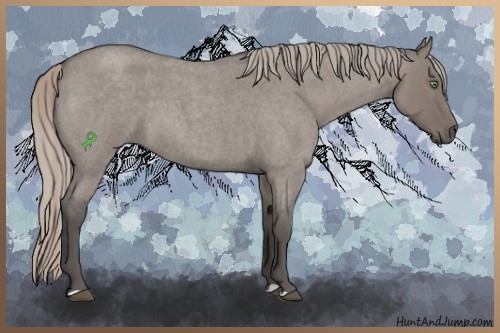 Horse Color:Silver Grullo Roan 