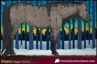 Horse Color:Grullo Brindle 