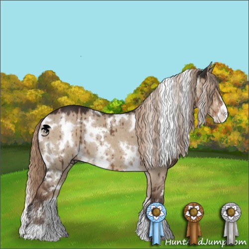 Horse Color:White Spotted Liver Red Dun Sabino Brindle 