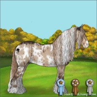 Horse Color:White Spotted Liver Red Dun Sabino Brindle 