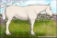 Horse Color:Cremello 