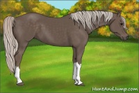 Horse Color:Silver Black 