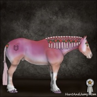 Horse Color:Silver Amber Champagne Onyx