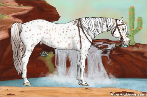 Horse Color:Gold Champagne Leopard  and Amber Champagne Leopard 