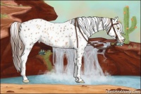 Horse Color:Gold Champagne Leopard  and Amber Champagne Leopard 