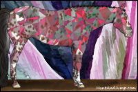 Horse Color:Gray Amber Champagne Appaloosa