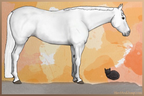 Horse Color:Gray Bay Splash Tobiano