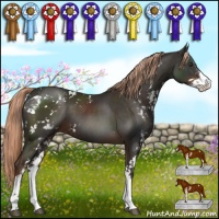 Horse Color:Liver Chestnut Sabino