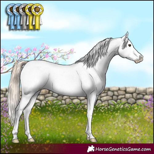 Horse Color:White Spotted Chocolate Palomino Sabino Varnish
