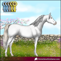 Horse Color:White Spotted Chocolate Palomino Sabino Varnish
