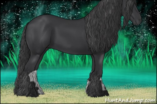 Horse Color:Black 