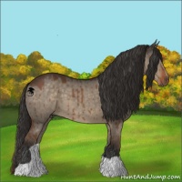 Horse Color:Liver Red Dun Brindle 