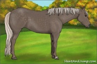 Horse Color:Silver Black 