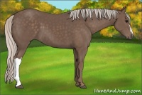 Horse Color:Silver Black 