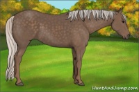 Horse Color:Silver Black 