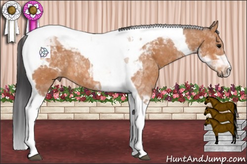 Horse Color:Bay Tobiano 