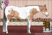 Horse Color:Bay Tobiano 