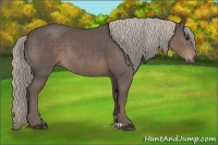 Horse Color:Silver Black 