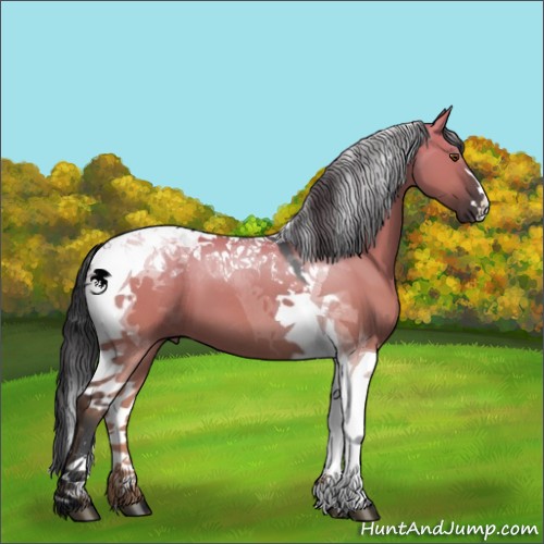 Horse Color:Grullo Chinchilla Tobiano 