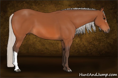 Horse Color:Silver Bay 