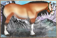 Horse Color:Bay Onyx 