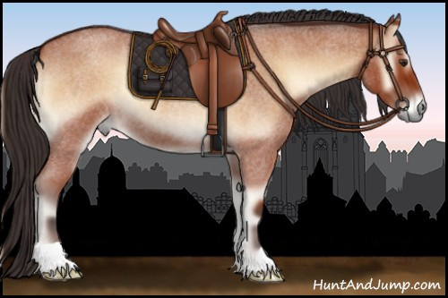 Horse Color:Bay Roan Onyx 