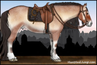 Horse Color:Bay Roan Onyx 