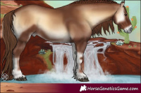 Horse Color:Red Onyx 