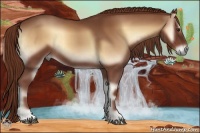 Horse Color:Red Onyx