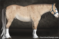 Horse Color:Bay Roan Dun Splash Rabicano Brindle 