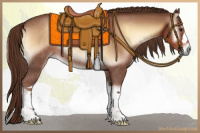 Horse Color:Red Onyx Rabicano