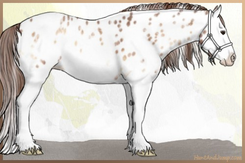 Horse Color:Red Onyx Ice Splash Near Leopard