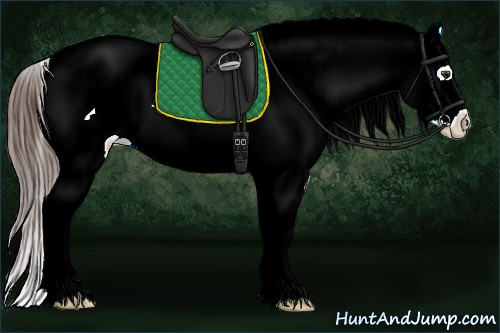 Horse Color:Liver Red Dun Sabino Frame Varnish