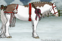 Horse Color:Silver Black Splash