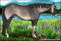 Horse Color:Blue Onyx Rabicano