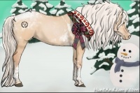 Horse Color:White Spotted Silver Bay Pearl Dun Tobiano Rabicano