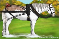 Horse Color:Silver Bay Ice Splash 