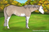 Horse Color:Silver Brown Dun Splash 