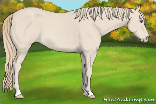 Horse Color:Smoky Creme 